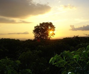 Sunset in the Coffee Region- Source: Uff.Travel